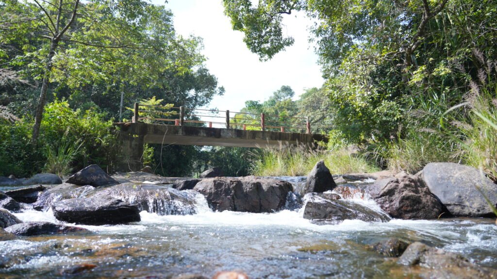 Scenic River View at Best Resort in Sakleshpur