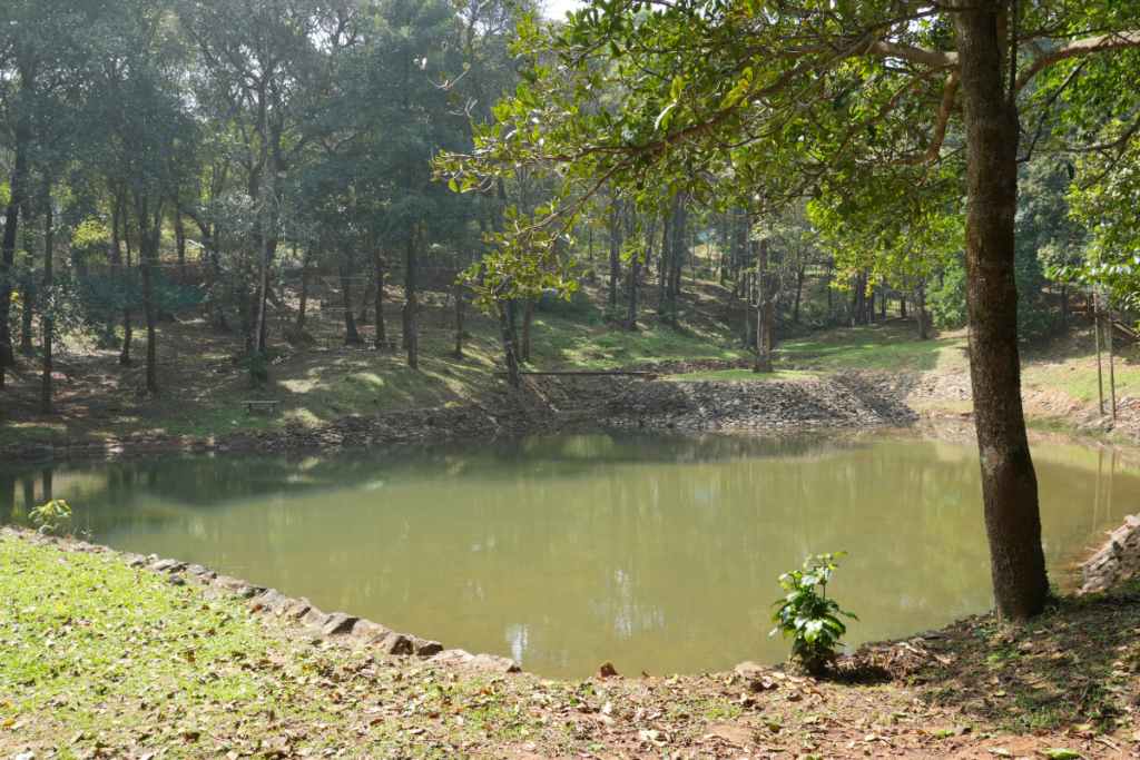 Scenic Nature View at Best Resort in Sakleshpur