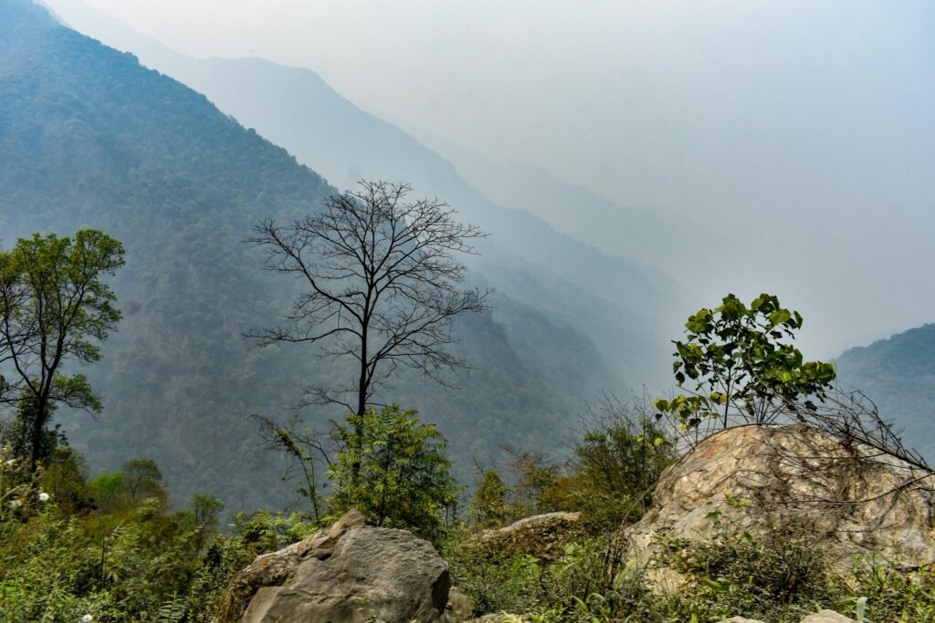 Scenic viewpoint at Best Resort in Sakleshpur