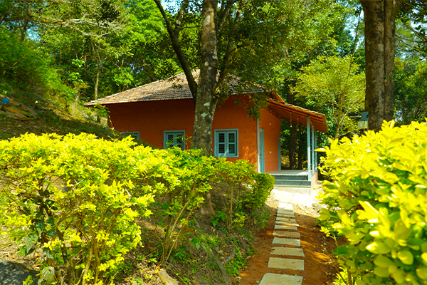 Luxury cottages surrounded by lush coffee plantations at Wild Fog Resort in Sakleshpur.