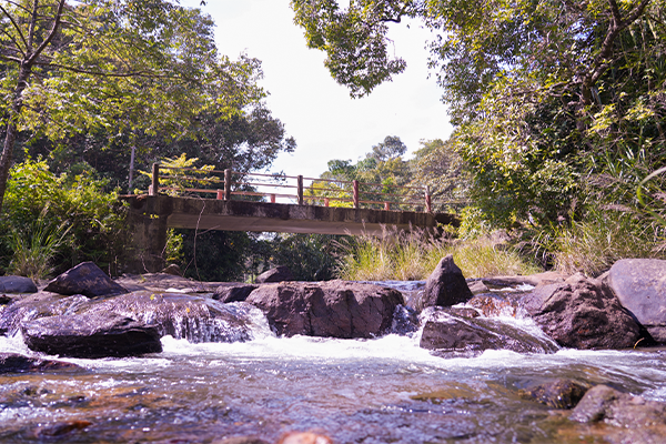 Scenic one-day trip destinations around Sakleshpur.