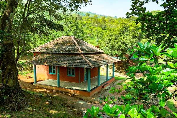Guests enjoying adventure activities at Wild Fog Resort in Sakleshpur.