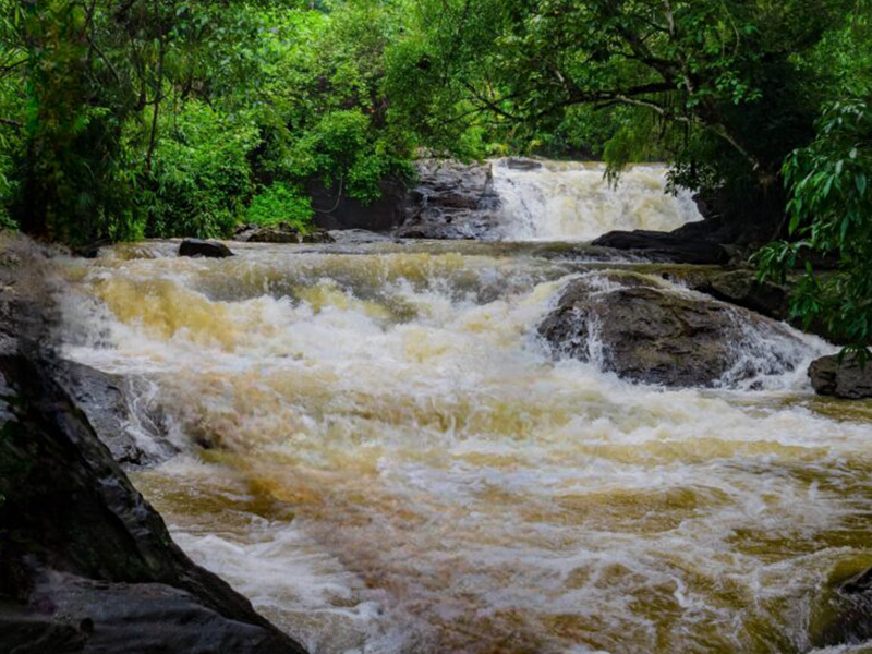 Scenic Magajahalli Falls near Sakleshpur.