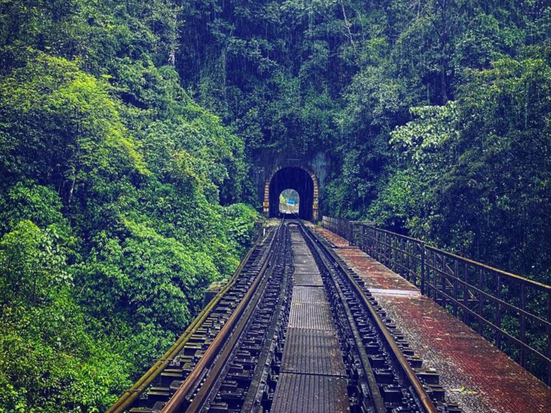 Yedakumari Railway Tunnel surrounded by lush greenery near Sakleshpur.